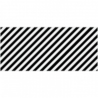 Керамическая плитка Evolution Вставка диагонали черно-белый (EV2G442) 20x44