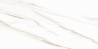 Керамическая плитка Esprit Calacatta WT9ESR00 250*500*9