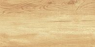 Керамическая плитка Paradise Wood WT9OAS31 250*500*9