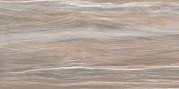 Керамическая плитка Esprit Wood WT9ESR21 250*500*9