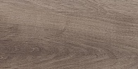 Керамическая плитка Plant коричневый 08-01-15-2685 20х40