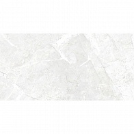 Керамическая плитка Dallas светло-серый (C-DAL521D) 29,8х59,8