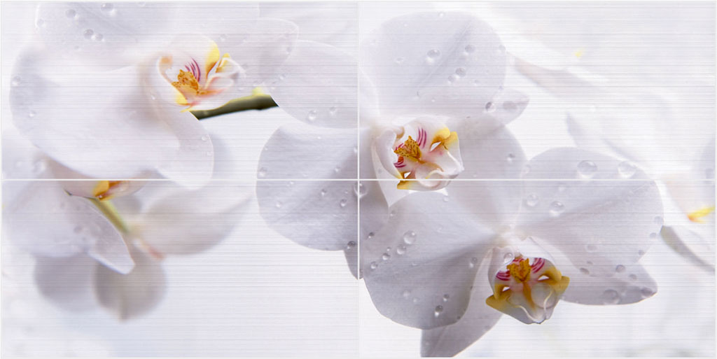 Керамическая Плитка Орхидея Фото