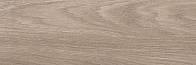 Керамическая плитка Envy коричневый 17-01-15-1191 20*60