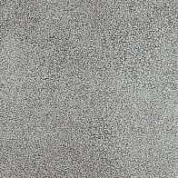 Линолеум Спринт Аризона 1 (2,5м)